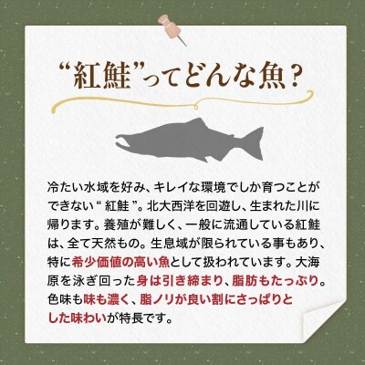 【特選】天然紅鮭切り身(500g真空×4袋)さけ おかず ご飯のお供 お弁当 真空 F4F-3920