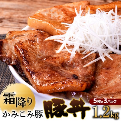 かみこみ豚の豚丼 80g×5枚×3パック 計15枚 合計 1.2kg 豚肉 豚丼 F4F-2298