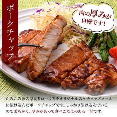 かみこみ豚のポークチャップ 200g×2枚×3パック 計6枚 合計1.2kg F4F-2350