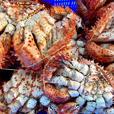 【茹でたて未冷凍】北海道産・ボイル花咲蟹6～10尾で3.0kg前後 花咲蟹 カニ F4F-2876