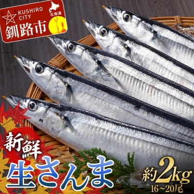 期間限定 新鮮 生 さんま 約2kg (16～20尾) 秋刀魚 鮮魚 魚 冷蔵 F4F-3218