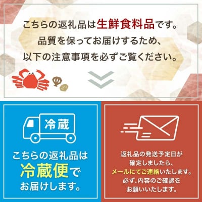 高級・特選縦列盛えぞバフンうに250g ふるさと納税 うに 高級 ウニ 雲丹 F4F-3516