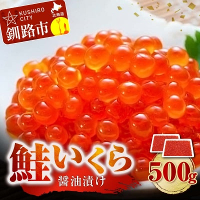 鮭 いくら 醤油漬け 250g×2パック 計500g F5F-0098