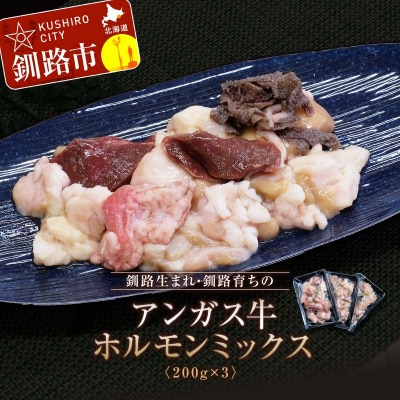 釧路生まれ、釧路育ちのアンガス牛ホルモンミックス 200g×3 国産 ホルモン 牛 F4F-3320