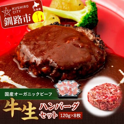 釧路生まれ、釧路育ちのオーガニックビーフ 生ハンバーグ120g×8枚 牛肉 F4F-3487