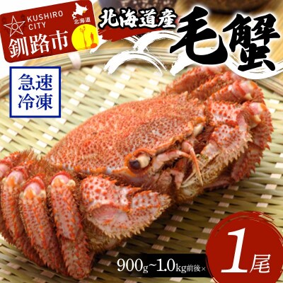 北海道産毛蟹900g～1.0kg前後×1尾  F4F-3258
