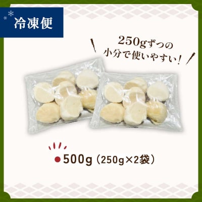 【訳あり】北海道産 ほたて貝柱 250g×2袋 500g ふるさと納税 帆立 F4F-8593