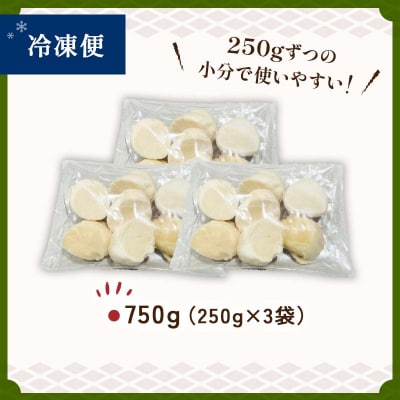 【訳あり】北海道産 ほたて貝柱 250g×3袋 750g ふるさと納税 帆立 F4F-7970