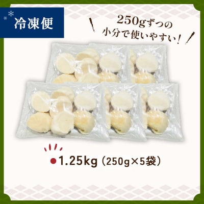 【訳あり】北海道産 ほたて貝柱 250g×5袋 1.25kg ふるさと納税 帆立 F4F-8906