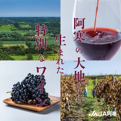 赤いシャッポワイン 赤ワイン 1本 北海道産 ワイン プレミアム 酒 北海道 F4F-3927