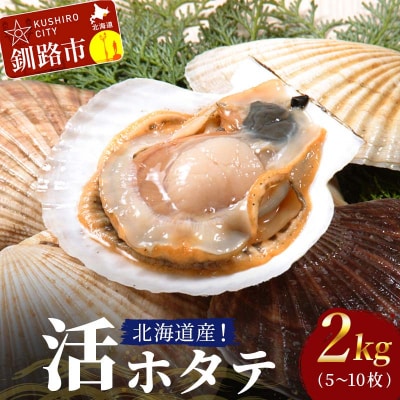 北海道産!活ホタテ2kg(5～10枚) 北海道 ホタテ ほたて 帆立 帆立貝 海鮮 F4F-3872