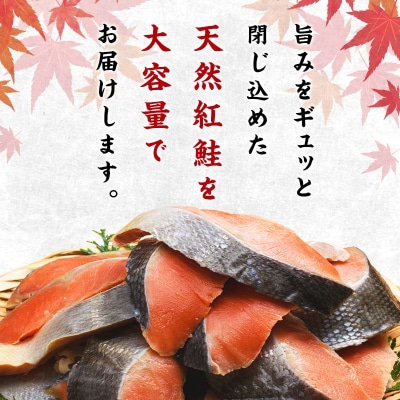 【釧路加工】マルア阿部商店特選 氷塩熟成 紅鮭切身 20切 (4枚入×5袋) 