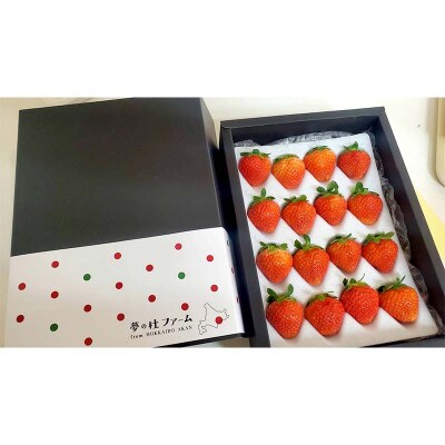 贈答用 すずあかね300～350g(12～20粒) 夏いちご F4F-4186