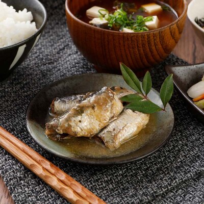北釧まいわし梅煮(100g)×8缶 ふるさと納税 釧路市 いわし 缶詰 魚 海産物 F4F-4166