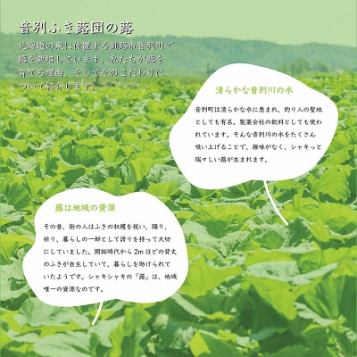 【6月上旬発送予定】音蕗(おんぶき) 2kg 無農薬 蕗 フキ ふき