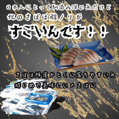 マルア阿部商店特選 北海道産〆さば半身 14枚入り さば サバ 真空パック F4F-7917