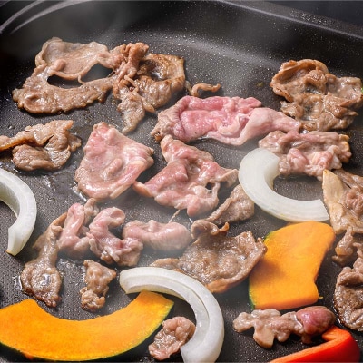 北海道釧路産 羊肉サフォークラム(焼き肉用スライス)250g×2 F5F-0294