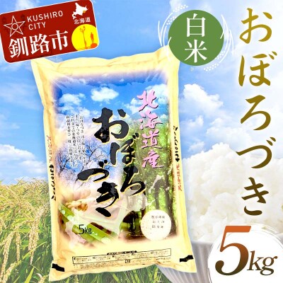 おぼろづき 5kg 白米 北海道産 米 こめ お米 白米 玄米 通常発送 F4F-9974
