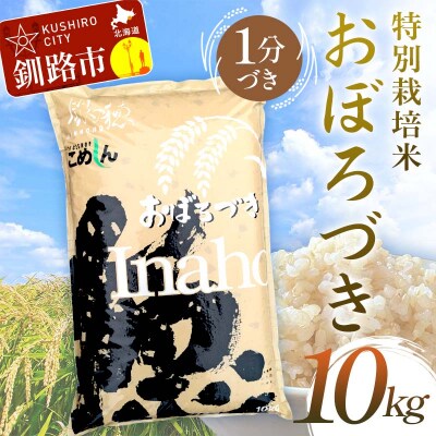 �y�ߘa7�N�Y �z �y�V�āz ���ʍ͔|�Ă��ڂ�Â� 10kg 1���Â� F4F-9779