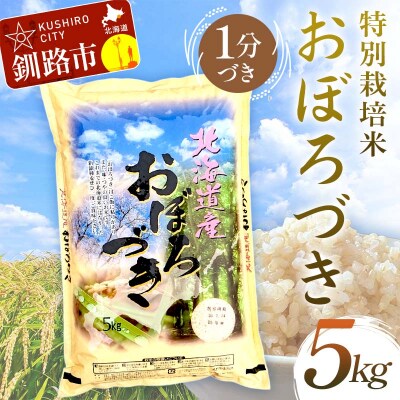 �y�ߘa7�N�Y �z �y�V�āz ���ʍ͔|�Ă��ڂ�Â� 5kg 1���Â� F4F-9805