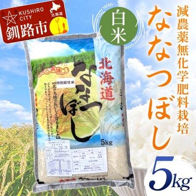 �ߘa7�N�x�Y�E�V�� �_��9�����E���w�엿�s�g�p�ȂȂڂ� 5kg ���� �k�C���Y F4F-9584