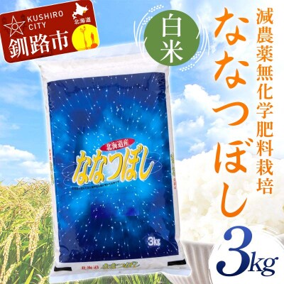 �ߘa7�N�x�Y�E�V�� �_��9�����E���w�엿�s�g�p�ȂȂڂ� 3kg ���� �k�C���Y F4F-9610