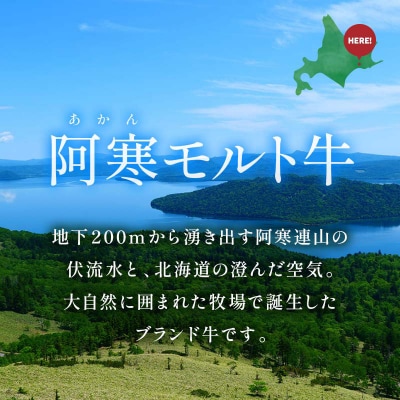 【これぞ北海道産 赤身肉】阿寒モルト牛サーロインステーキ 約200g×2枚 F4F-8046