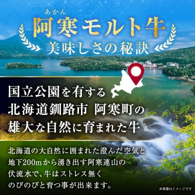 【これぞ北海道産 赤身肉】阿寒モルト牛サーロインステーキ 約200g×2枚 