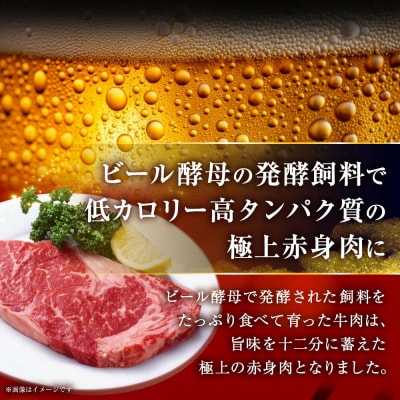 【これぞ北海道産 赤身肉】阿寒モルト牛サーロインステーキ 約200g×2枚 