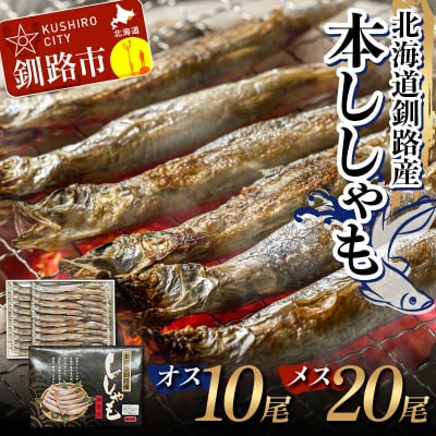 本ししゃも オス10尾・メス20尾 釧路産 本ししゃも 魚 ししゃも F4F-8866