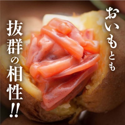 笹谷商店 極上の逸品 いか塩辛 釧路港270g【2個セット】 F4F-8407