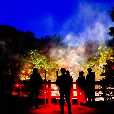 阿寒湖の森ナイトウォーク 入場券 大人2枚 F4F-8584