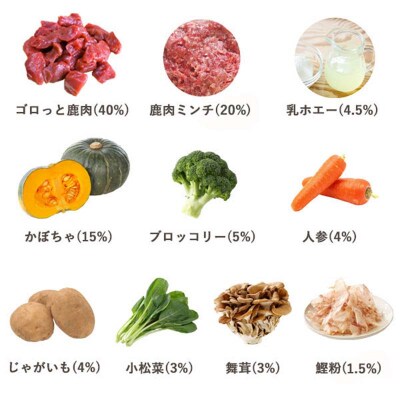 エゾ鹿肉と北海道野菜とホエーの毎日トッピング ドッグフード(100g×10袋)