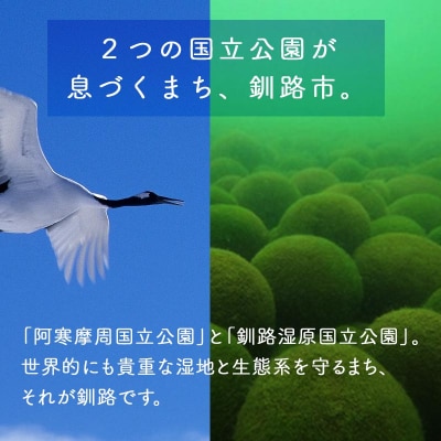 あなたの寄附が自然を守る、未来へつなぐ　釧路湿原等自然環境保全支援 【返礼品なし】30000円