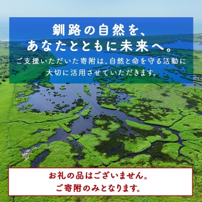 あなたの寄附が自然を守る、未来へつなぐ　釧路湿原等自然環境保全支援 【返礼品なし】100000円