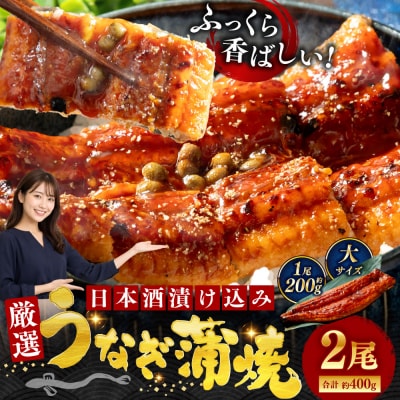 うなぎ蒲焼 200g×2尾セット 職人 手焼き 真空 冷凍 北海道 ウナギ 鰻 かばやき