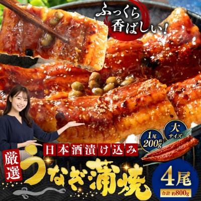 うなぎ蒲焼 200g×4尾セット 職人 手焼き 真空 冷凍 北海道 ウナギ 鰻 かばやき