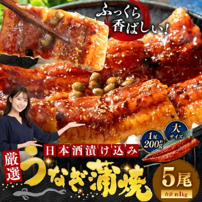 うなぎ蒲焼 200g×5尾セット 職人 手焼き 真空 冷凍 北海道 ウナギ 鰻 かばやき