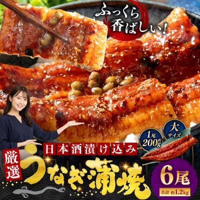 うなぎ蒲焼 200g×6尾セット 職人 手焼き 真空 冷凍 北海道 ウナギ 鰻 かばやき
