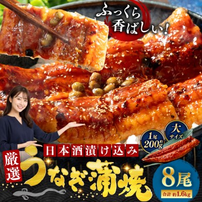 うなぎ蒲焼 200g×8尾セット 職人 手焼き 真空 冷凍 北海道 ウナギ 鰻 かばやき