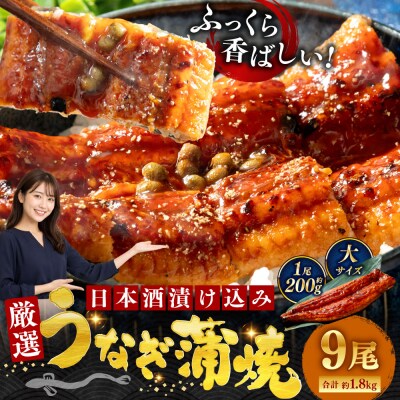 うなぎ蒲焼 200g×9尾セット 職人 手焼き 真空 冷凍 北海道 ウナギ 鰻 かばやき