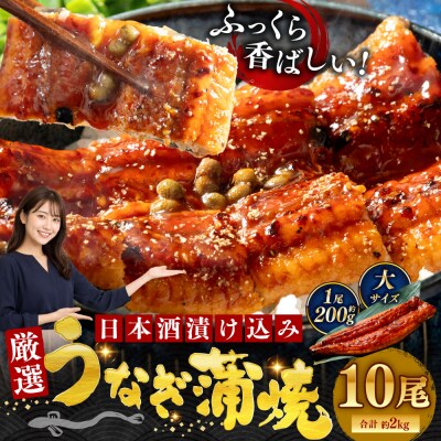 うなぎ蒲焼 200g×10尾セット 職人 手焼き 真空 冷凍 北海道 ウナギ 鰻 かばやき