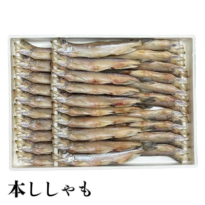 【3か月連続定期便】 トキシラズ 紅鮭 本ししゃも 定期便 F4F-9214