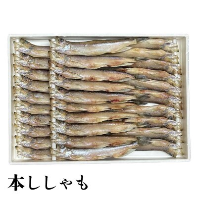 【3か月連続定期便】 トキシラズ 紅鮭 本ししゃも 定期便 F4F-9214