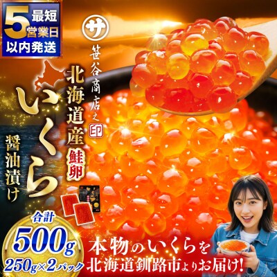 【5営業日以内発送】笹谷商店 新物 北海道産いくらしょう油漬500g(250g×2パック入り) 