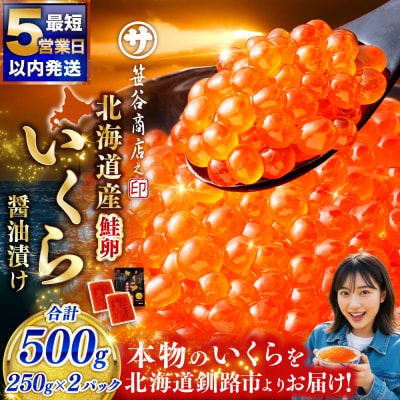 【5営業日以内発送】笹谷商店 新物 北海道産いくらしょう油漬500g(250g×2パック入り) 