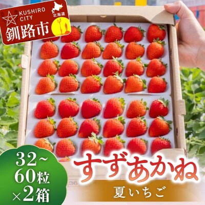 2026年先行予約 北海道産いちご すずあかね 32～60粒×2箱 F5F-0092