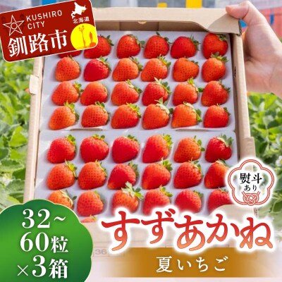 ＜無地熨斗あり＞2026年先行予約 北海道産いちご すずあかね 32～60粒×3箱 F5F-0108