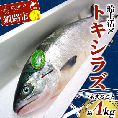 トキシラズ 約4kg 鮭 サケ 魚 トキシラズ 生鮮 北海道 釧路市 F5F-0111