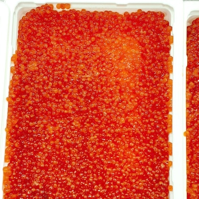 紅鮭いくら醤油漬け 500g 冷凍 F5F-0116